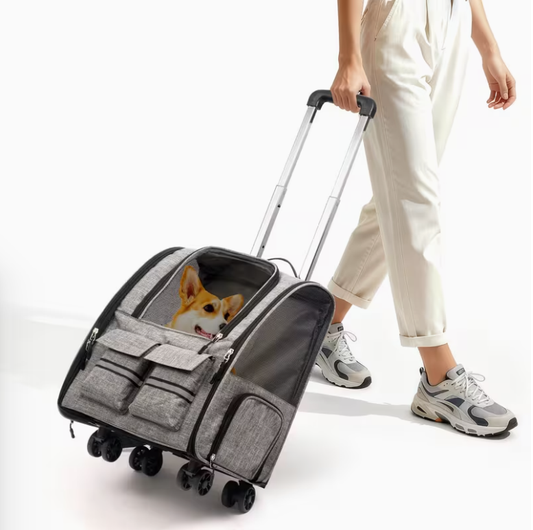Pet rolling backpack with detachable wheels