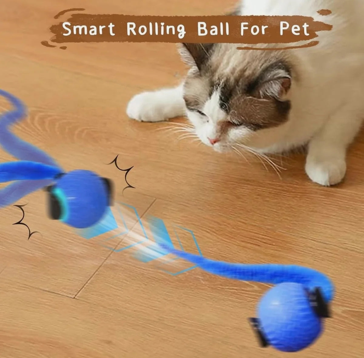 Speedy Tail Cat Toy, Interactive Toy for Indoor Cats blue color