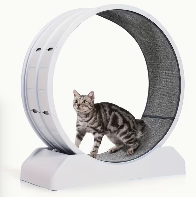 [Large Cat Exercise Wheel] 33-Inch Large Carpet-Surface Cat Exercise Wheel