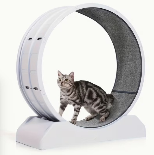 [Large Cat Exercise Wheel] 33-Inch Large Carpet-Surface Cat Exercise Wheel