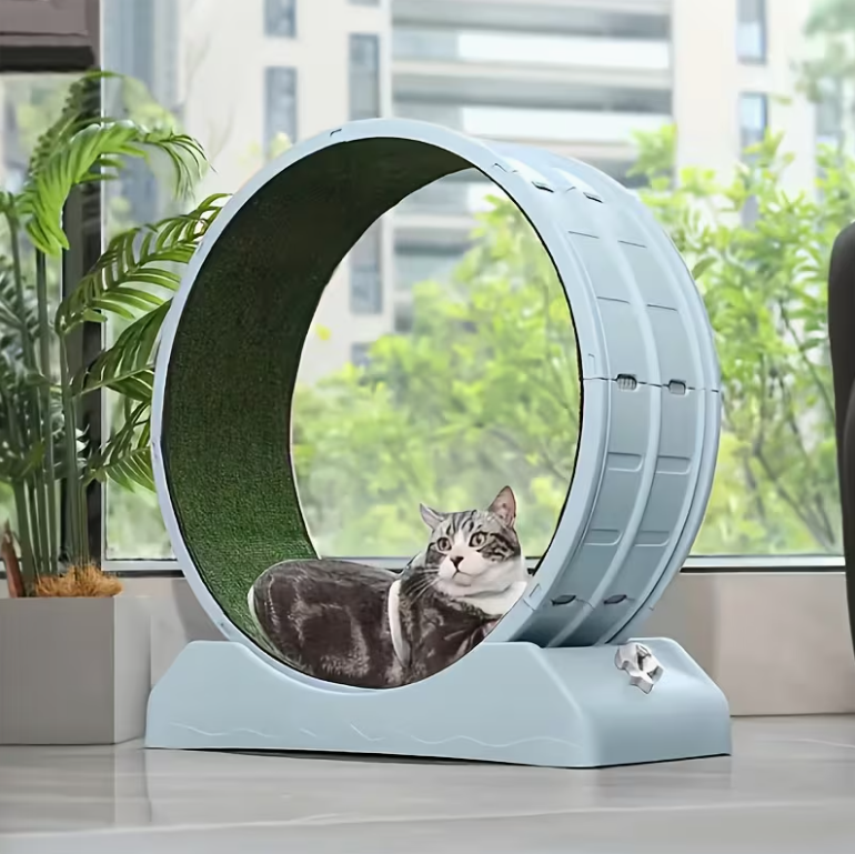 [Large Cat Exercise Wheel] 33-Inch Large Carpet-Surface Cat Exercise Wheel