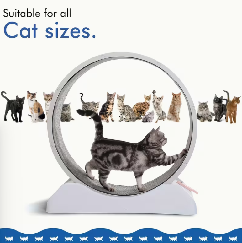[Large Cat Exercise Wheel] 33-Inch Large Carpet-Surface Cat Exercise Wheel