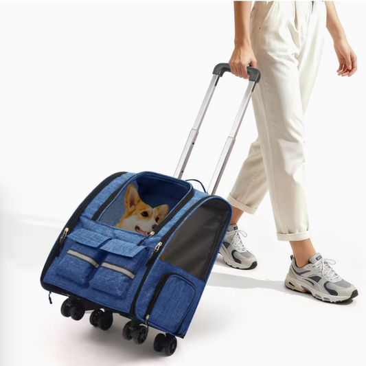 Pet rolling backpack with detachable wheels