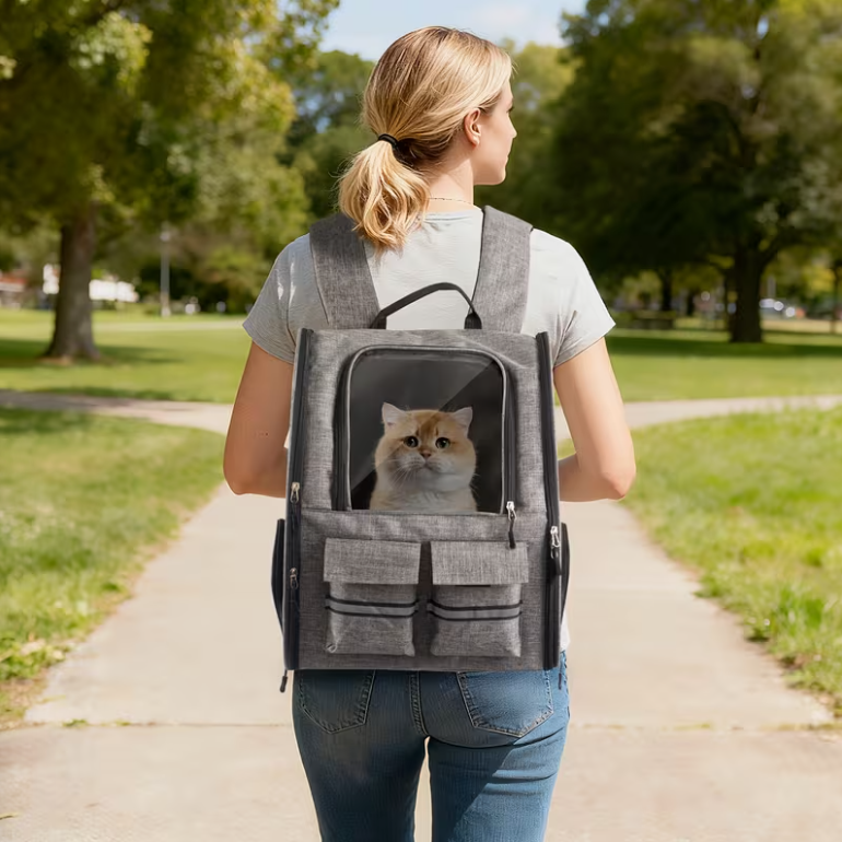 Pet rolling backpack with detachable wheels