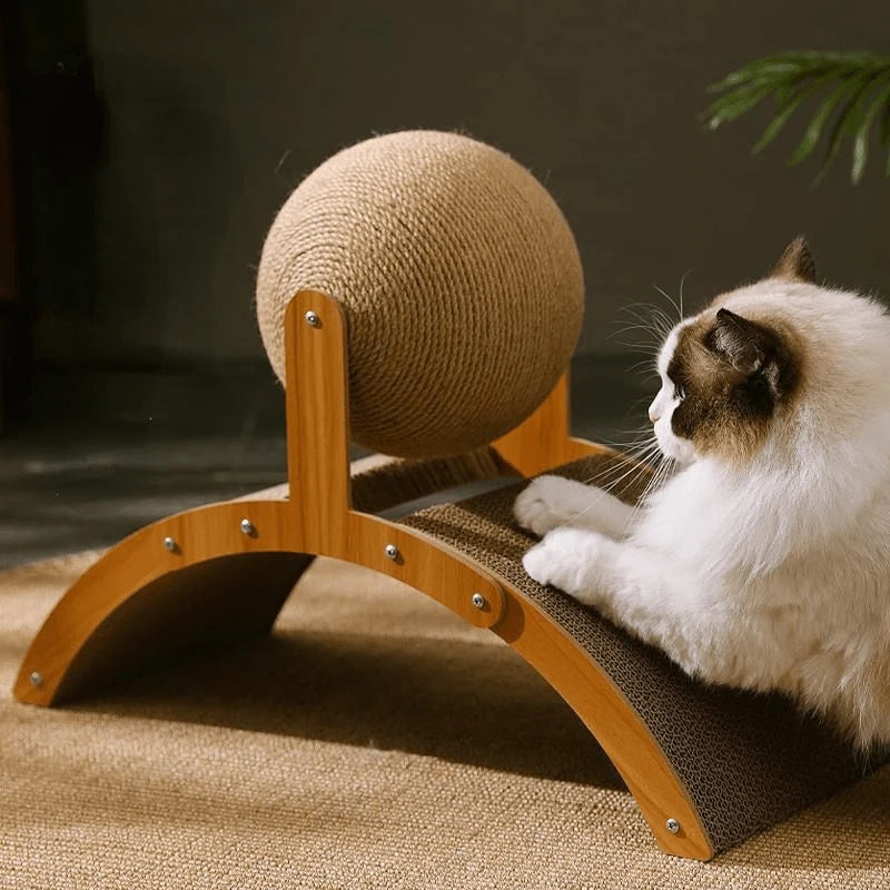 Ferris Wheel Style Cat Teaser Toy Set